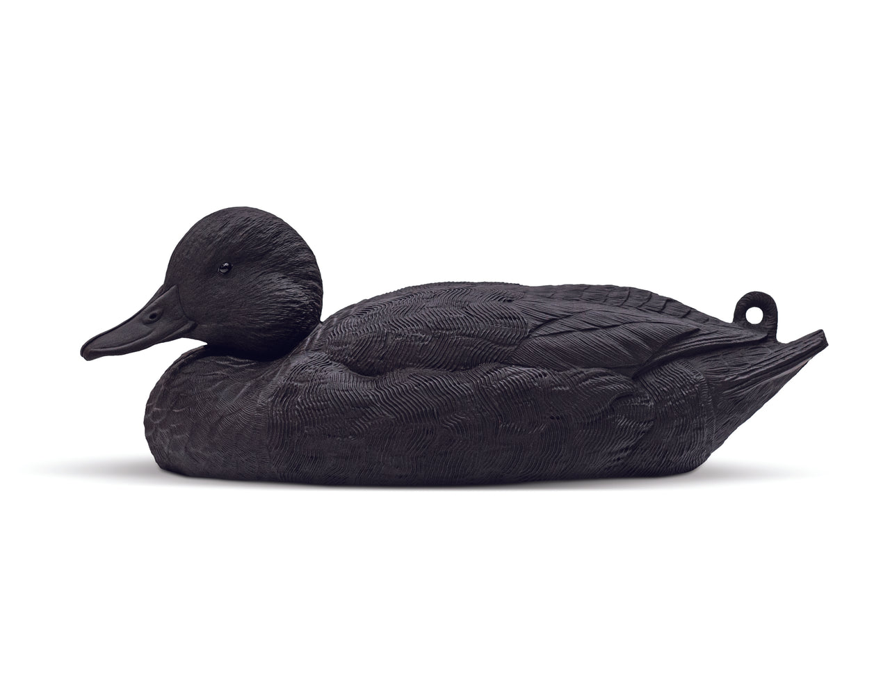 MAINLINE SERIES BLACKOUTS