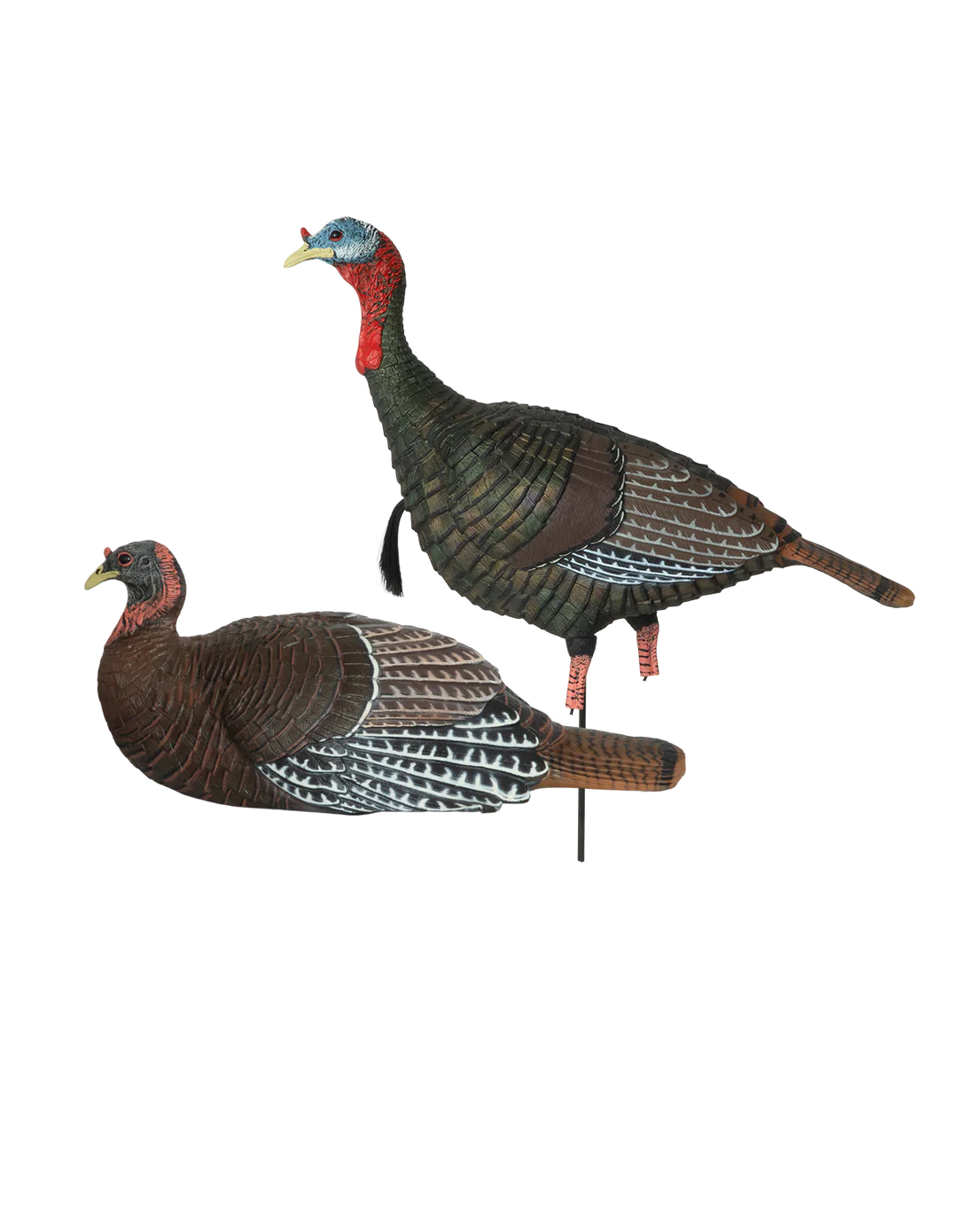 LAYDOWN HEN JAKE COMBO TURKEY DECOY