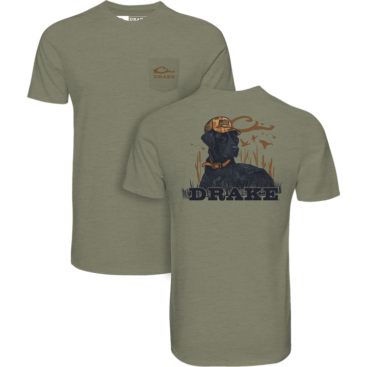 CHOCOLATE LAB LS T